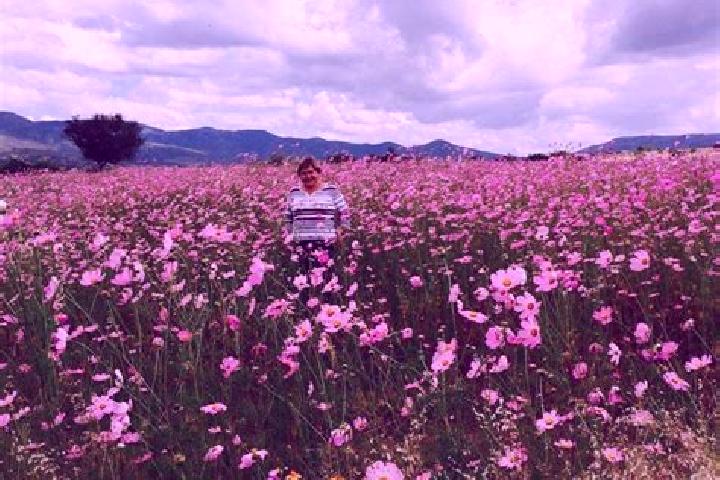 Rose, 39 — Escort in Comanja, Mexico