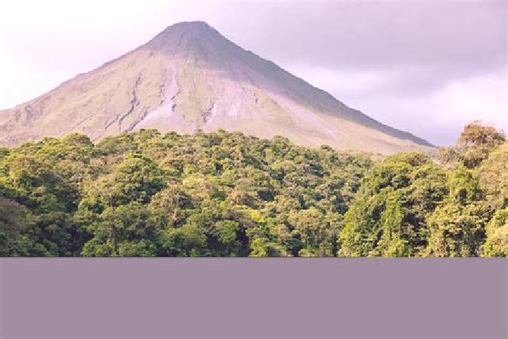 Rose, 39 — Escort in El Arenal de Abajo, Mexico