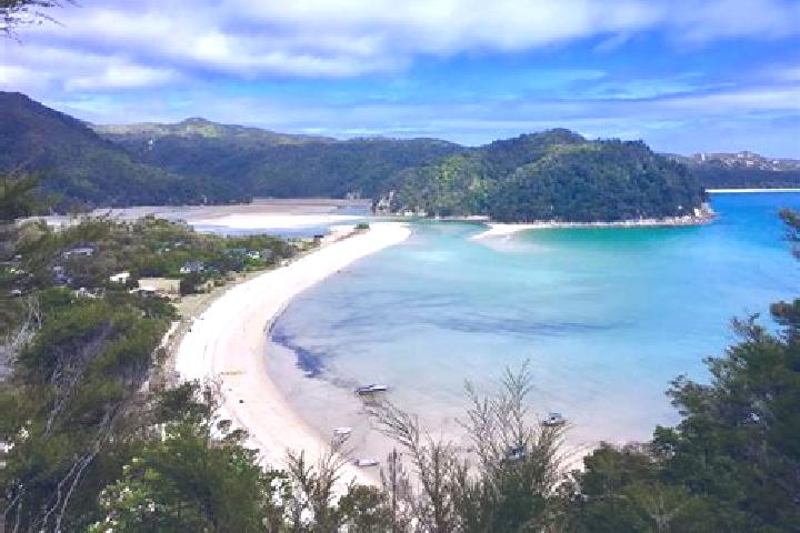 Rose, 39 — Escort in Island Bay, New Zealand