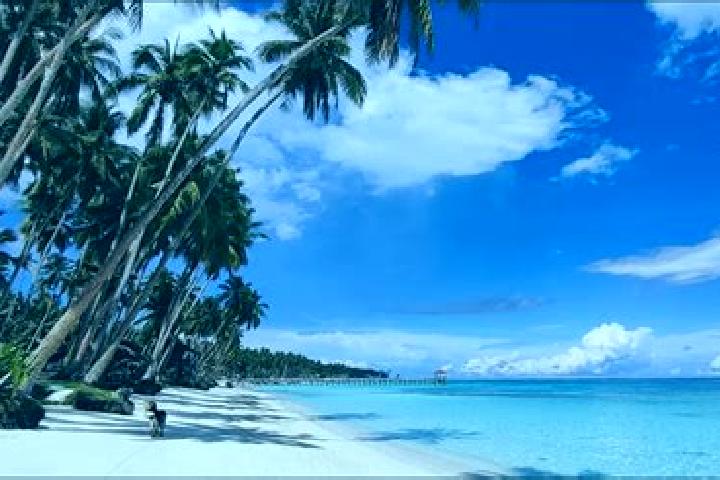 Rose, 39 — Escort in Jolo, Philippines