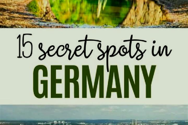 Rose, 39 — Escort in Kapellendorf, Germany