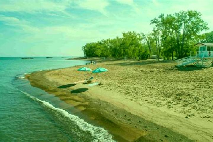 Rose, 39 — Escort in Lake Erie Beach, United States