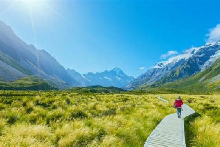 Rose, 39 — Escort in Mackenzie, Australia