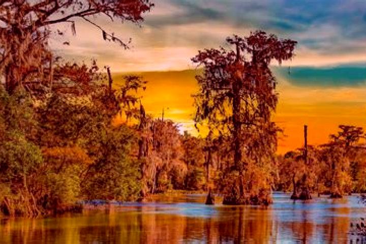 Rose, 39 — Escort in Pretty Bayou, United States
