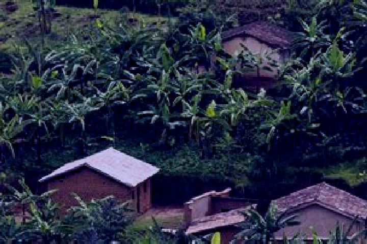 Rose, 39 — Escort in Rangiro, Rwanda