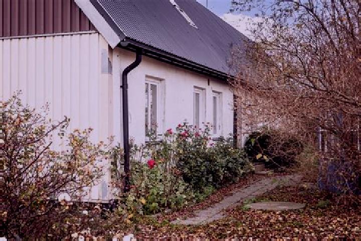Rose, 39 — Escort in Vaestra Ingelstad, Sweden