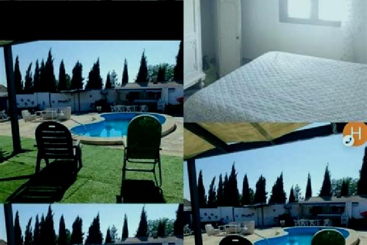 Rose, 39 — Escort in Villa del Campo, Spain