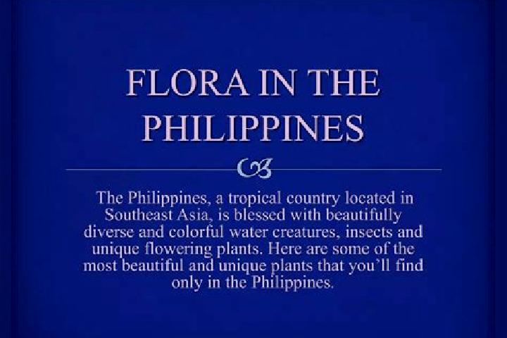 Ruby, 21 — Escort in Camp Flora, Philippines