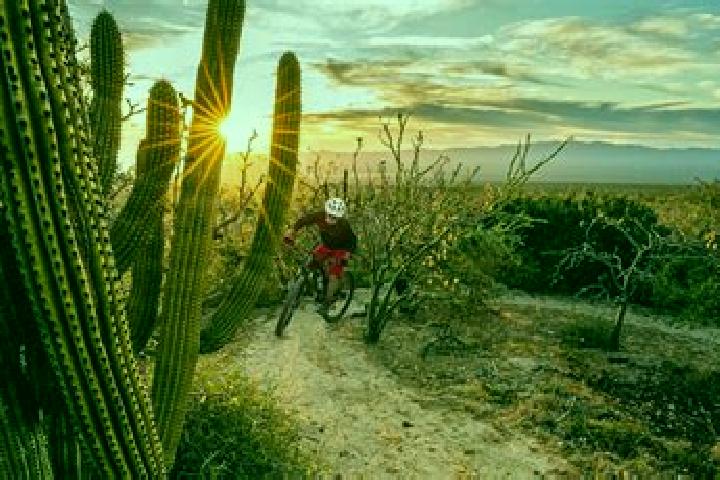 Ruby, 21 — Escort in Rancho Cuachixolotera, Mexico