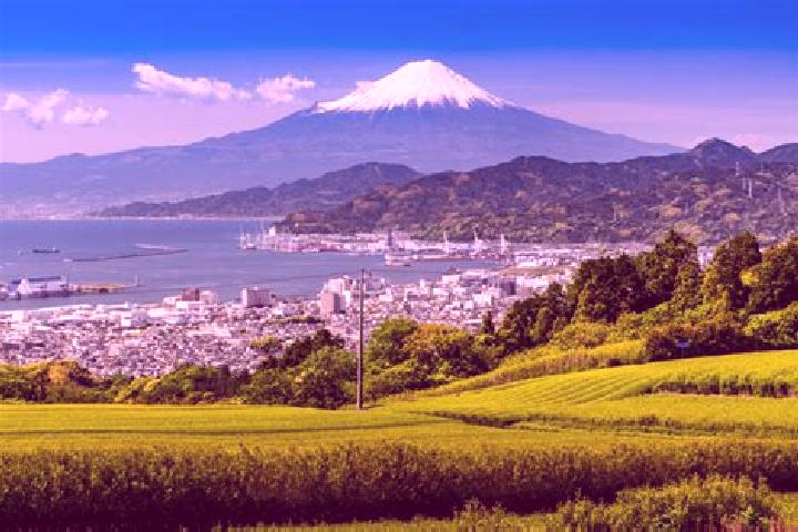 Ruby, 21 — Escort in Shizuoka, Japan