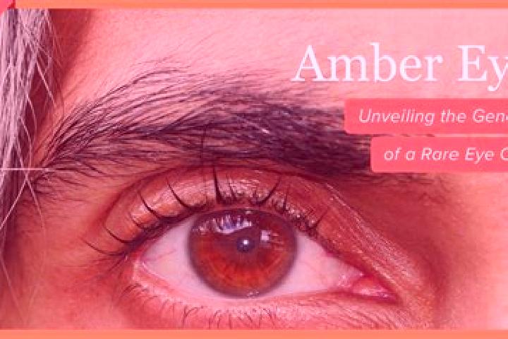Ruby, 22, a black amber-eyed slavic companion based in Race Course. Offering Duos, Roleplay, A-Level, CIM, Prostate Massage. Available for incall and outcall...