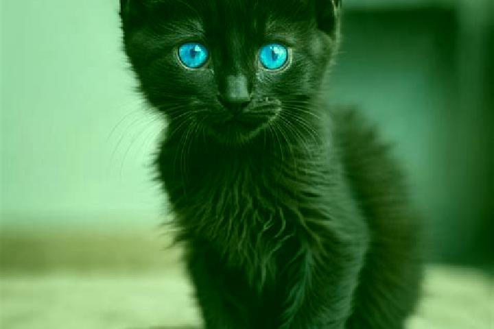 Ruby, 22, a black blue-eyed caribbean companion based in Ar Rabiyah. Offering GFE, Party Girl, Massage, Duos, Striptease. Available for incall and outcall, o...