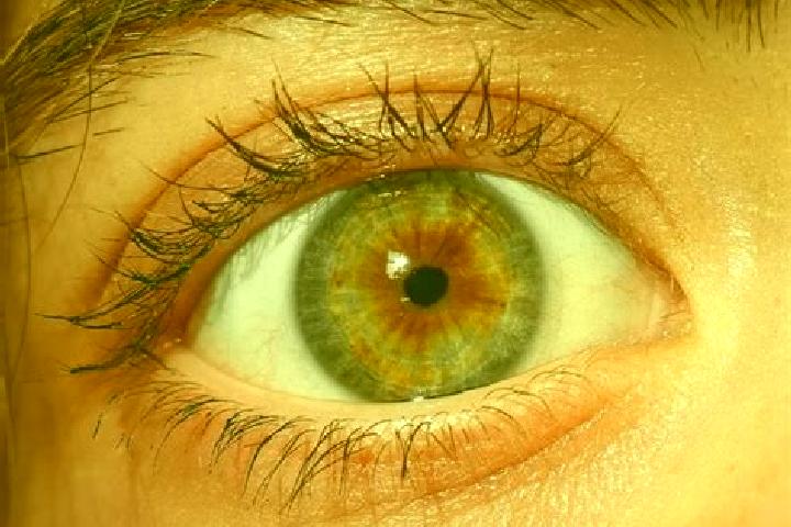 Ruby, 23, a red hazel-eyed caucasian companion based in Hortiguela. Offering Couples, Fetish, GFE, OWO. Available for incall and outcall, overnight bookings ...