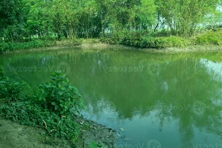 Ruby, 23 — Escort in Kushtia, Bangladesh