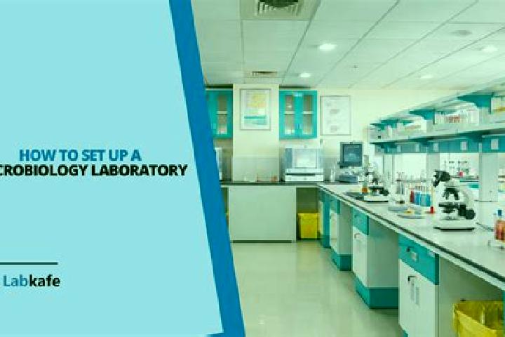 Ruby, 23 — Escort in Lab, China