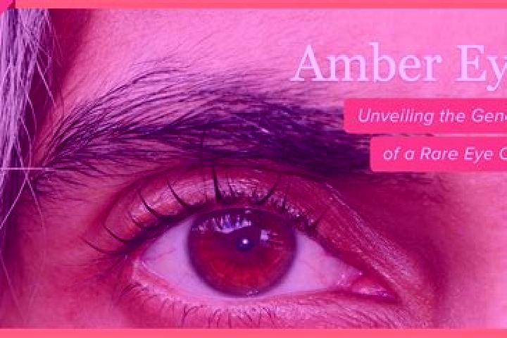 Ruby, 24, a black amber-eyed indian companion based in South Launceston. Offering Striptease, Roleplay, Overnight. Available for incall and outcall, overnigh...
