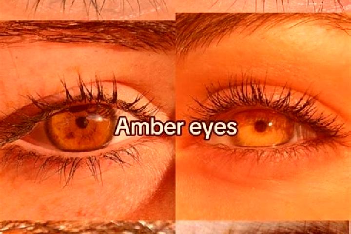 Ruby, 25, a brunette amber-eyed mediterranean companion based in Galliera Veneta. Offering A-Level, GFE, OWO. Available for incall and outcall, overnight boo...