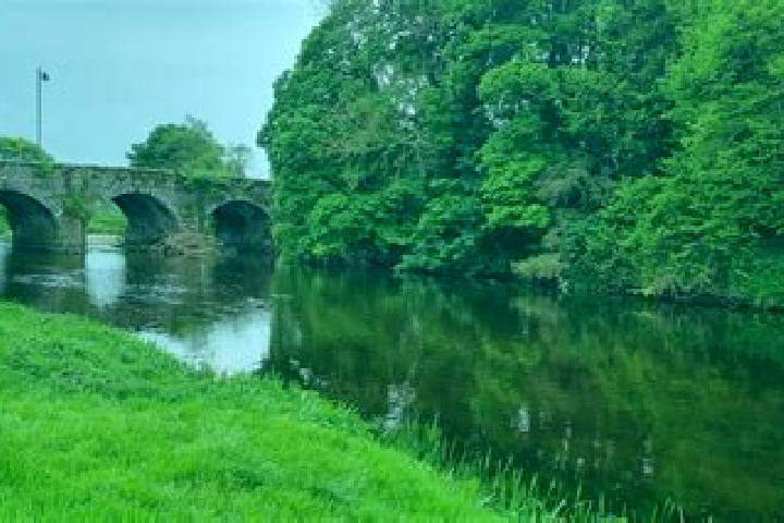 Ruby, 25 — Escort in Bunclody, Ireland
