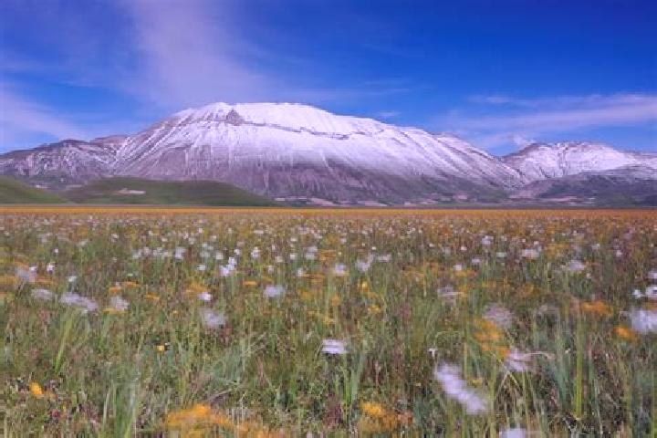 Ruby, 25 — Escort in Castelluccio dei Sauri, Italy