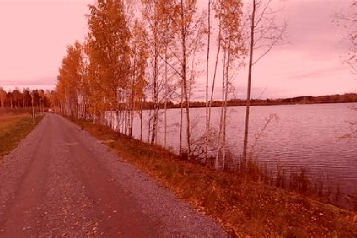 Ruby, 25 — Escort in Lentaevaenniemi, Finland