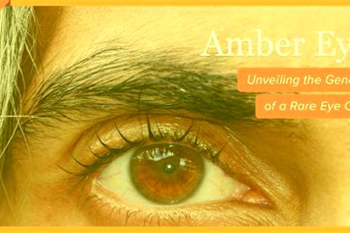 Ruby, 26, a red amber-eyed middle eastern companion based in Ponticella. Offering A-Level, GFE, Erotic Massage, Couples. Available for incall and outcall, ov...