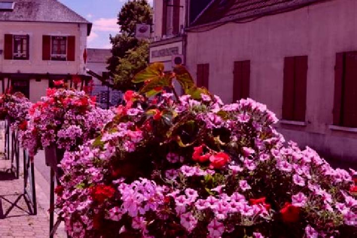 Ruby, 26 — Escort in Les Essarts, France