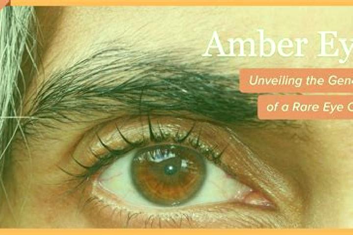 Ruby, 27, a red amber-eyed caribbean companion based in Grimstad. Offering A-Level, BDSM. Available for incall and outcall, day and evening dates.