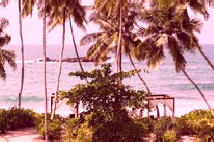 Ruby, 27 — Escort in Tangalle, Sri Lanka