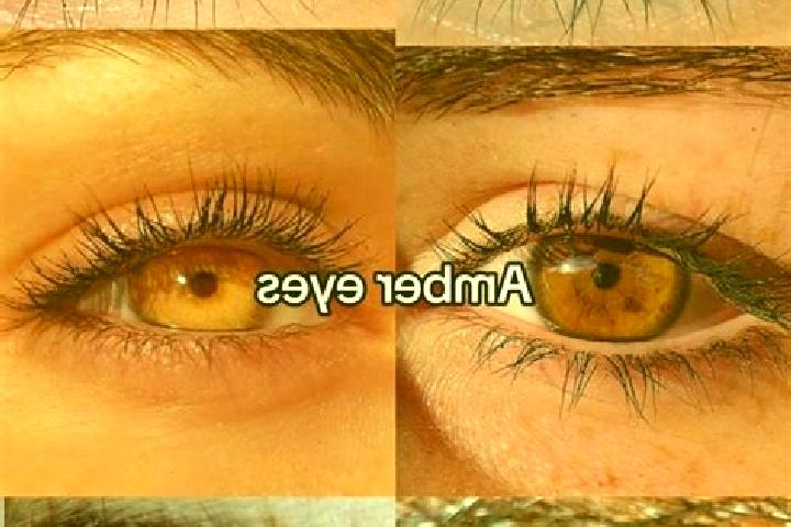Ruby, 28, a chestnut amber-eyed european companion based in Seuzach Dorf / Brandbueel. Offering Girlfriend Experience, Duos, A-Level, Party Girl. Available f...