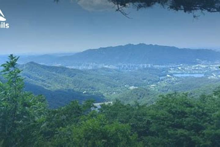Ruby, 28 — Escort in Uiwang, South Korea