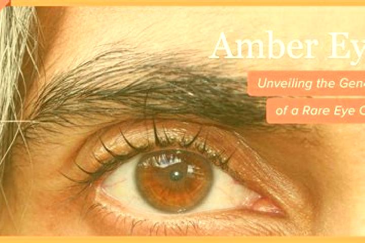Ruby, 31, a black amber-eyed caribbean companion based in Torremayor. Offering GFE, Overnight, 69, Fetish. Available for incall and outcall, day and evening ...