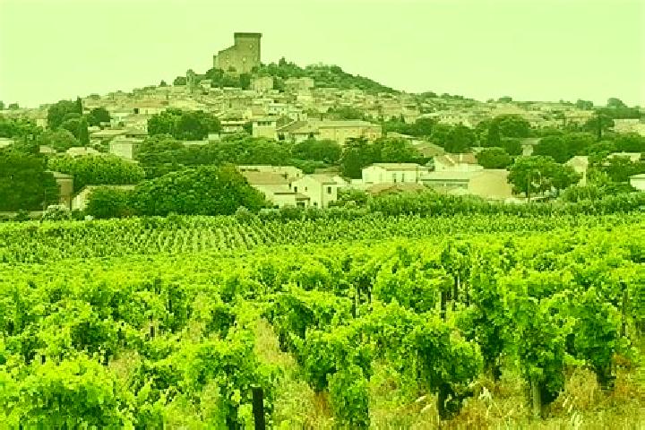 Ruby, 31 — Escort in Chateauneuf-du-Rhone, France