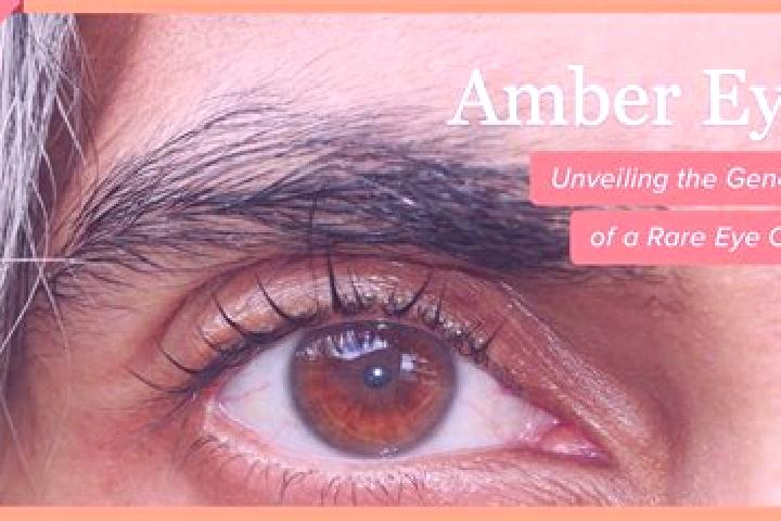 Ruby, 32, a red amber-eyed middle eastern companion based in Marettimo. Offering Erotic Massage, CIM, Striptease, Duos. Available for incall and outcall, ove...