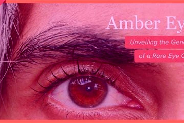 Ruby, 33, a red amber-eyed european companion based in Saint-Onesime-d Ixworth. Offering Tantra, Girlfriend Experience, Prostate Massage, GFE, OWO. Available...