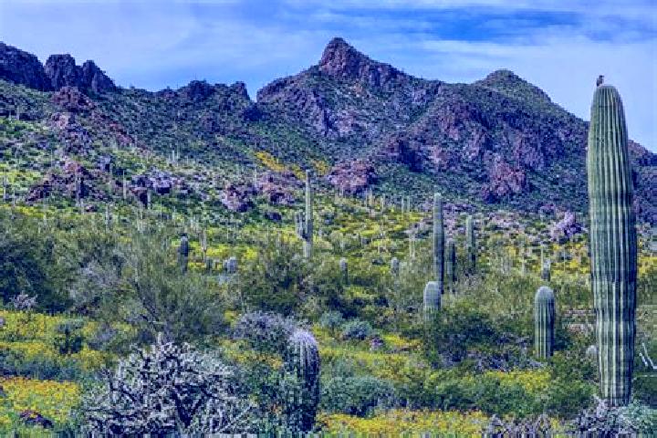 Ruby, 34 — Escort in El Picacho, Mexico