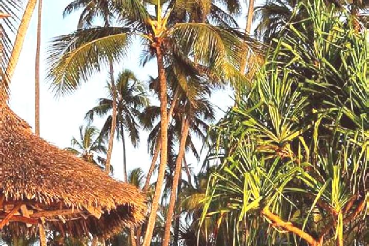 Ruby, 34 — Escort in Kwakoa, Tanzania