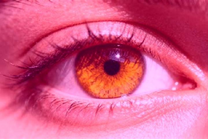 Ruby, 35, a auburn amber-eyed european companion based in Spindale. Offering Domination, BDSM, 69, Tantra. Available for incall and outcall, day and evening ...