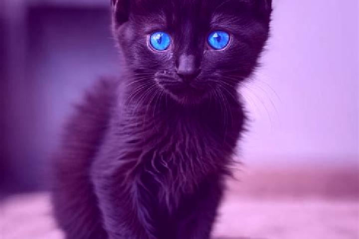 Ruby, 35, a black blue-eyed mediterranean companion based in Abokro. Offering Travel Companion, Dinner Date, BDSM. Available for incall and outcall, day and ...