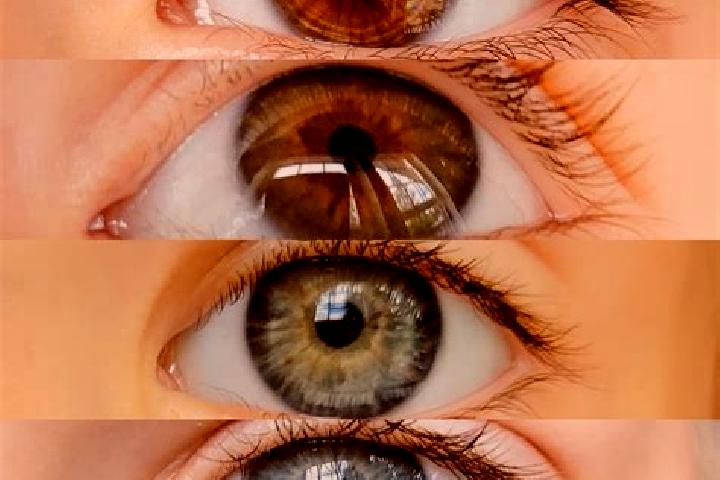Ruby, 35, a chestnut hazel-eyed mixed companion based in Junction. Offering CIM, OWO, BDSM, Domination, A-Level. Available for incall and outcall, day and ev...