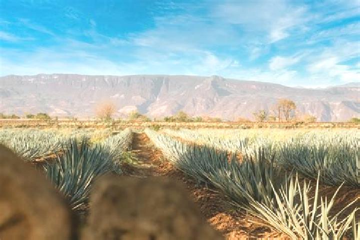 Ruby, 35 — Escort in Chimaltitan, Mexico