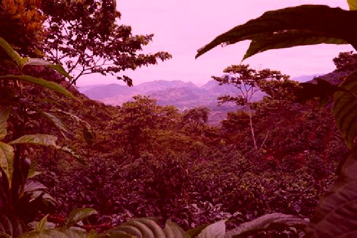 Ruby, 35 — Escort in Huehuetenango, Guatemala