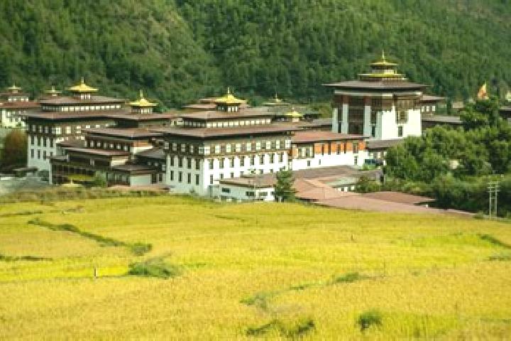 Ruby, 35 — Escort in Tsimasham, Bhutan