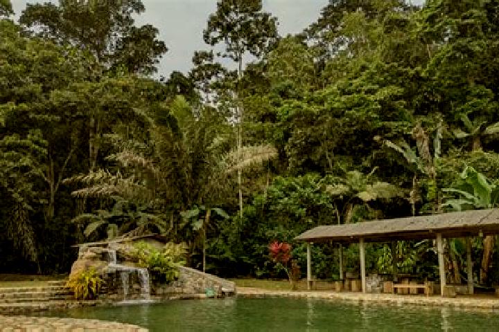Ruby, 36 — Escort in Echeandia, Ecuador