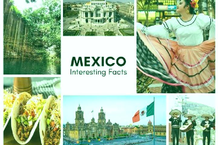 Ruby, 36 — Escort in Guachipilin, Mexico
