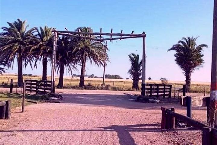 Ruby, 36 — Escort in Ombues de Lavalle, Uruguay