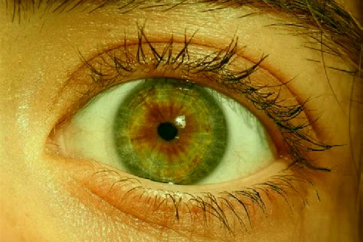 Ruby, 37, a red hazel-eyed mediterranean companion based in Schoenfeld. Offering OWO, Domination, Tantra. Available for incall and outcall, overnight booking...