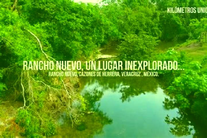 Ruby, 37 — Escort in Rancho Nuevo del Llanito, Mexico