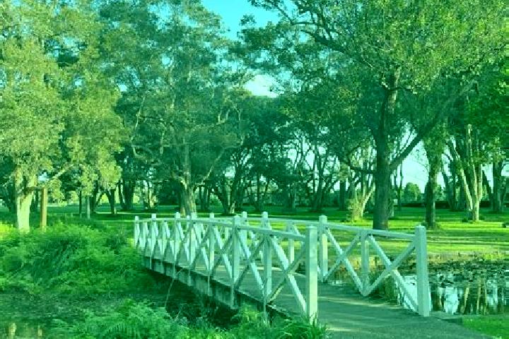 Ruby, 38 — Escort in Centennial Park, Australia