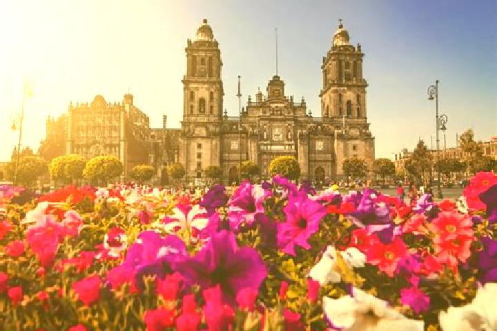Ruby, 38 — Escort in Ciudad Guzman, Mexico