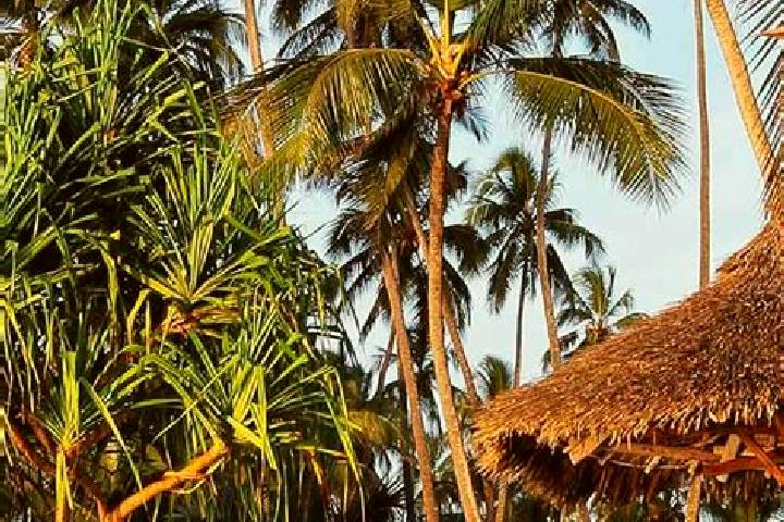 Ruby, 38 — Escort in Kitangari, Tanzania